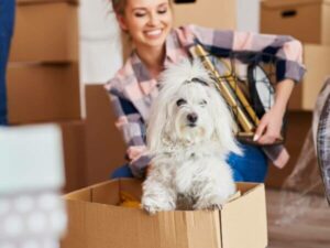 Ragazza che sorride e un cane bianco per il trasloco