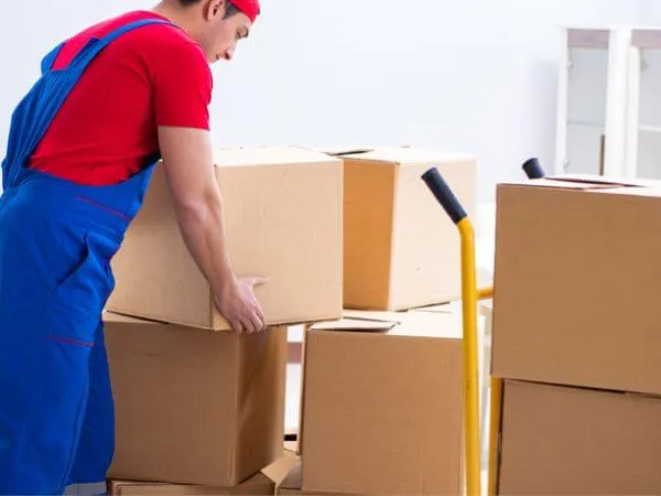 Operaio controlla i cartoni del trasloco per il traposto